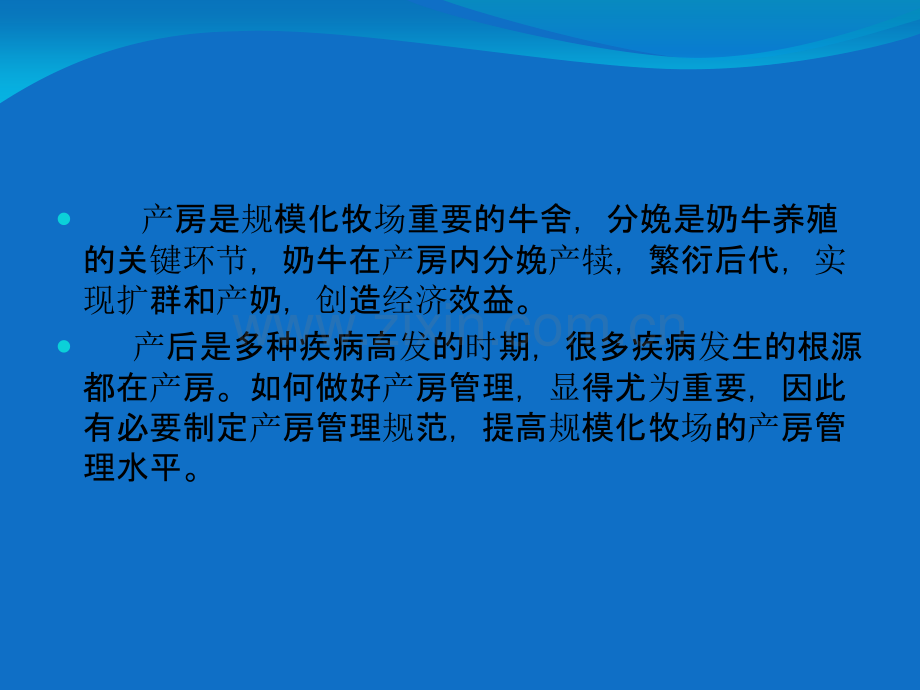 规模化牧场产房管理规范.ppt_第2页