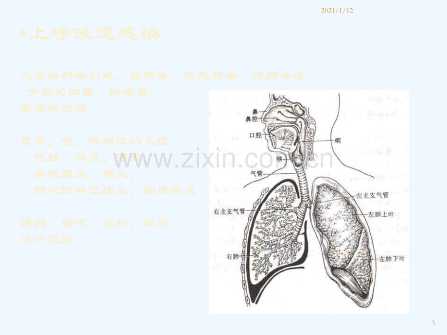 育婴师常见疾病.ppt_第3页