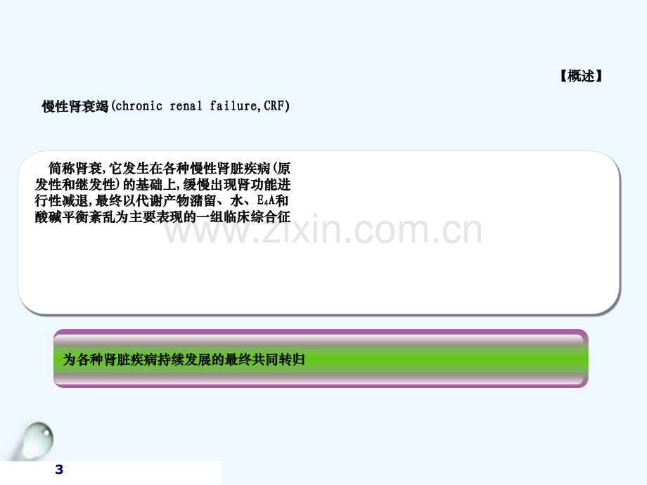 内科护理学课程课件慢性肾衰.ppt_第3页