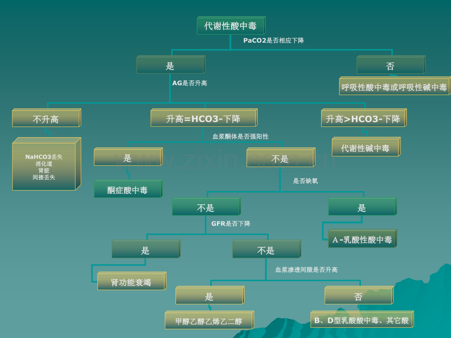 代谢性酸中毒的诊断程序和乳酸性.ppt_第3页