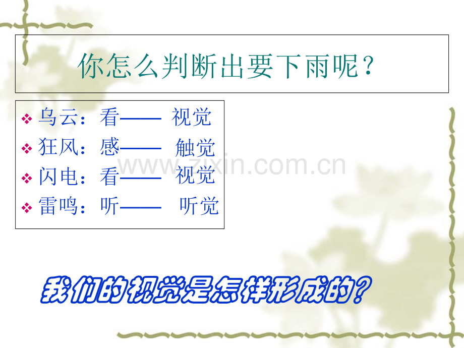 人体对外界环境的感知专题培训课件.ppt_第3页