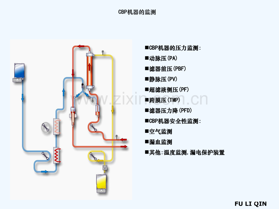 床边连续性血液净化临床监测与护理.ppt_第3页