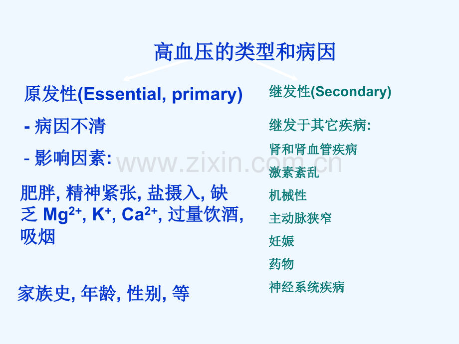 药理学抗高血压药.pptx_第3页