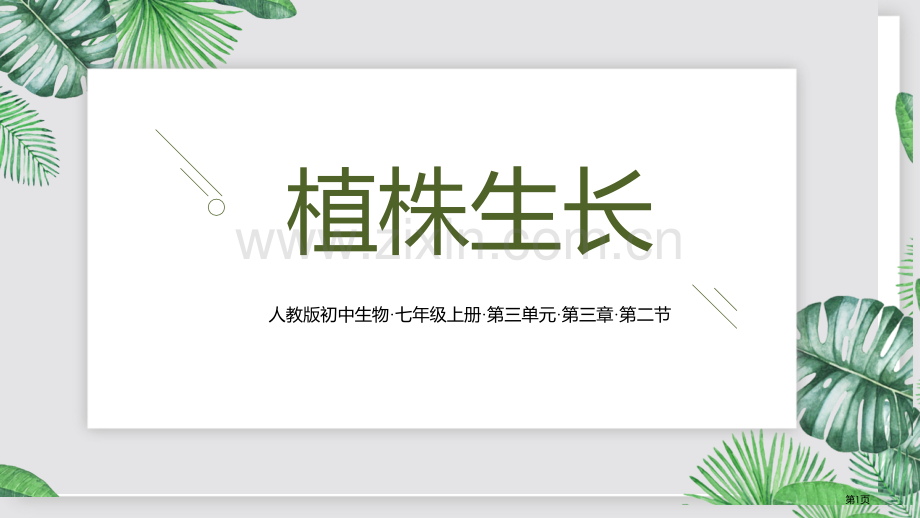 植株的生长教学课件省公开课一等奖新名师优质课比赛一等奖课件.pptx_第1页