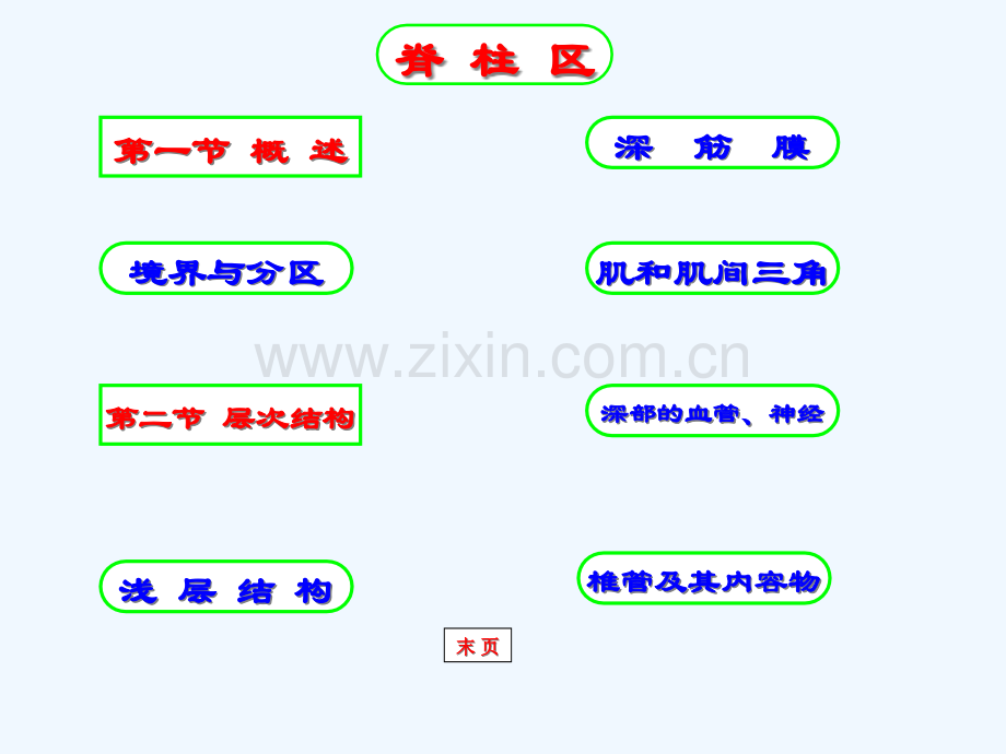 英文人体系统解剖学习.pptx_第2页