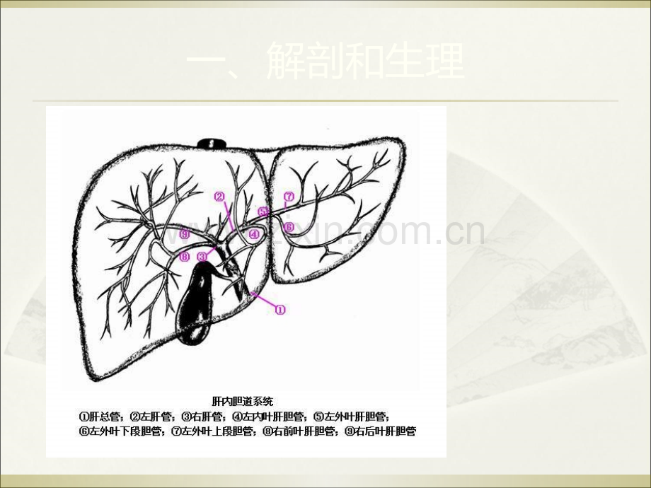 胆道感染和胆石症病人护理.ppt_第2页