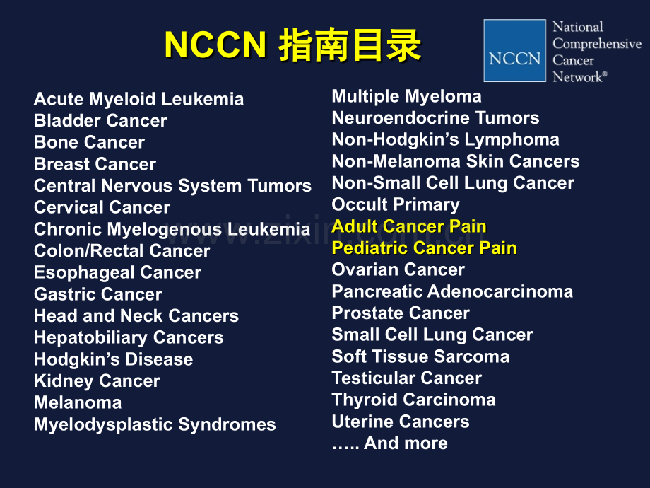 NCCN成人癌痛临床实践指南解读PPT培训课件.ppt_第2页