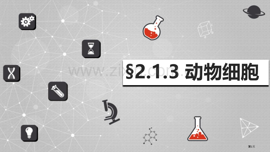 动物细胞教学课件省公开课一等奖新名师优质课比赛一等奖课件.pptx_第1页