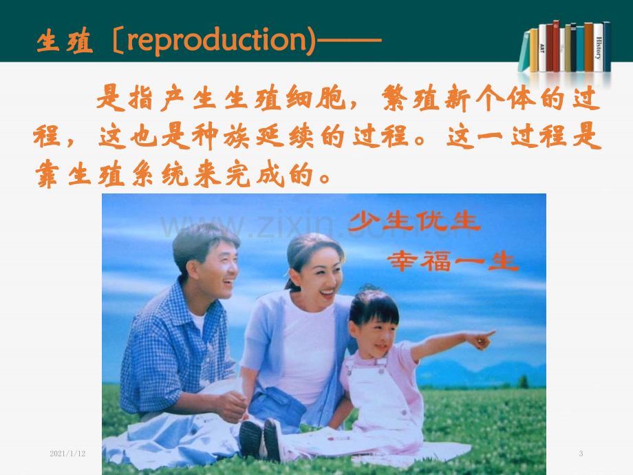 精子与卵细胞结合形成受精卵.ppt_第3页