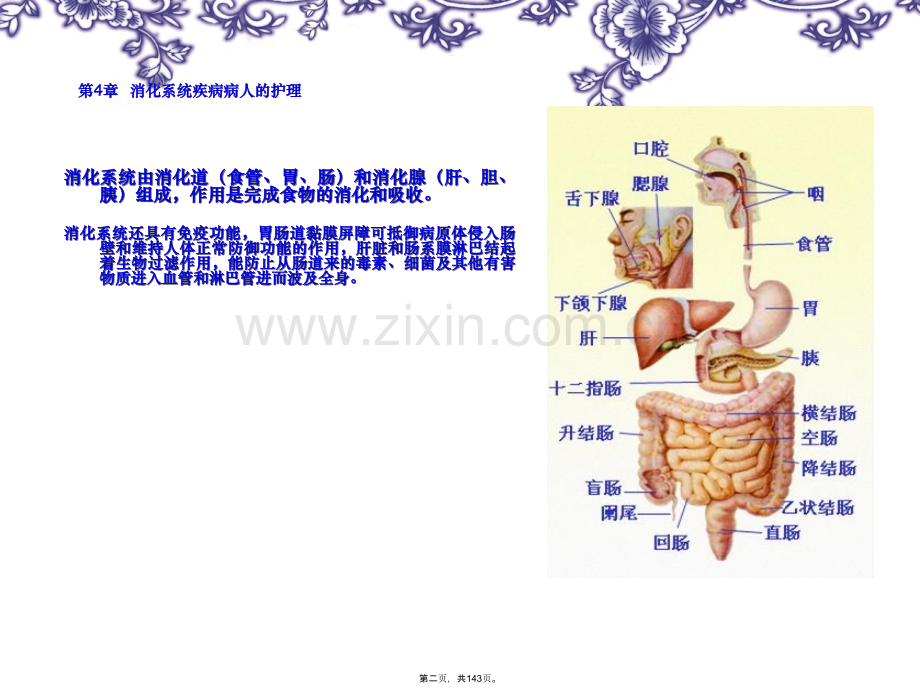 科学版《内科护理学》消化.pptx_第2页