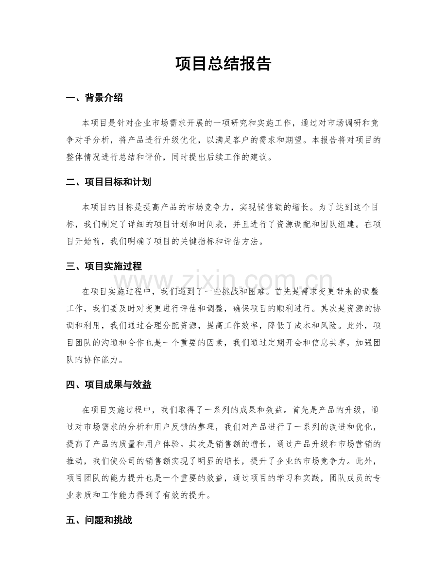 项目总结报告.docx_第1页