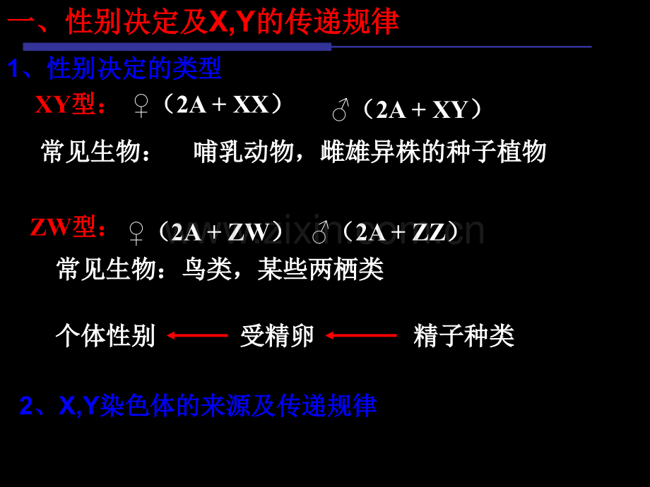 伴性遗传复习课2013到2014年高三上课311yu.ppt_第2页