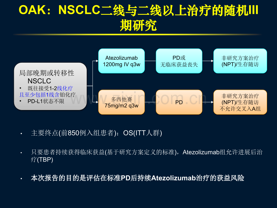 晚期NSCLC免疫跨线治疗.ppt_第3页