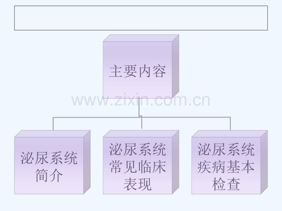 泌尿内科常见临床表现与基本检查.ppt_第2页