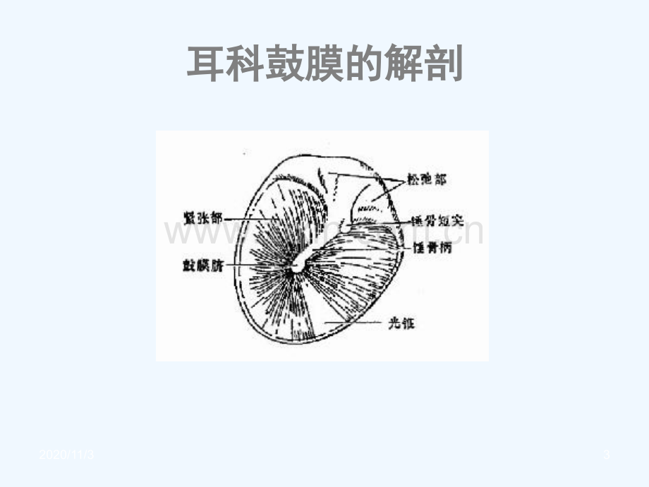 耳鼻喉眼常见病症及治疗.ppt_第3页