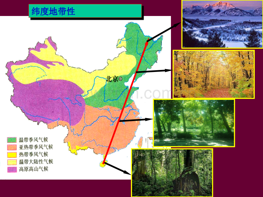 垂直地带性和非地带性差异.ppt_第3页