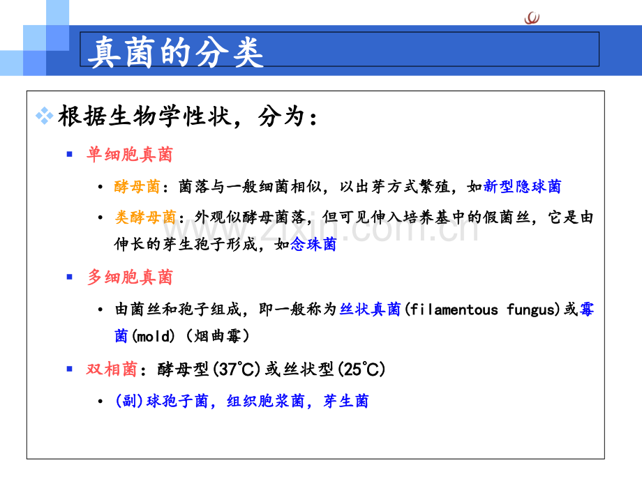 COPD合并肺曲霉菌病优质PPT课件.ppt_第3页