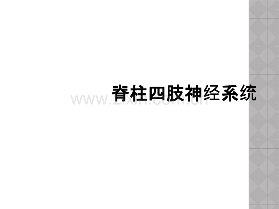 脊柱四肢神经系统.ppt_第1页