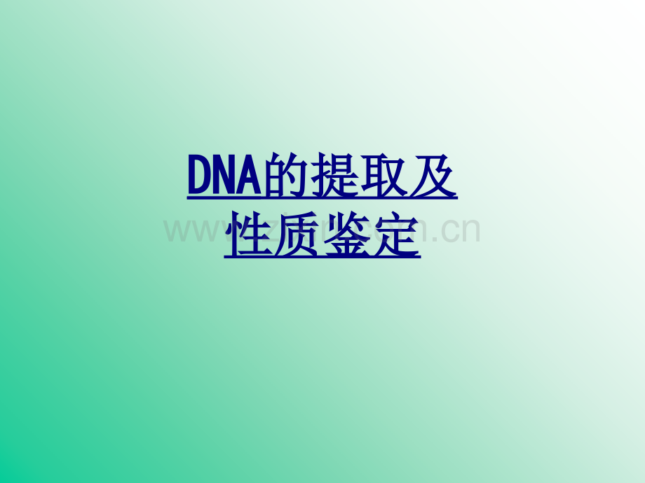 DNA的提取及性质鉴定优质PPT课件.ppt_第1页
