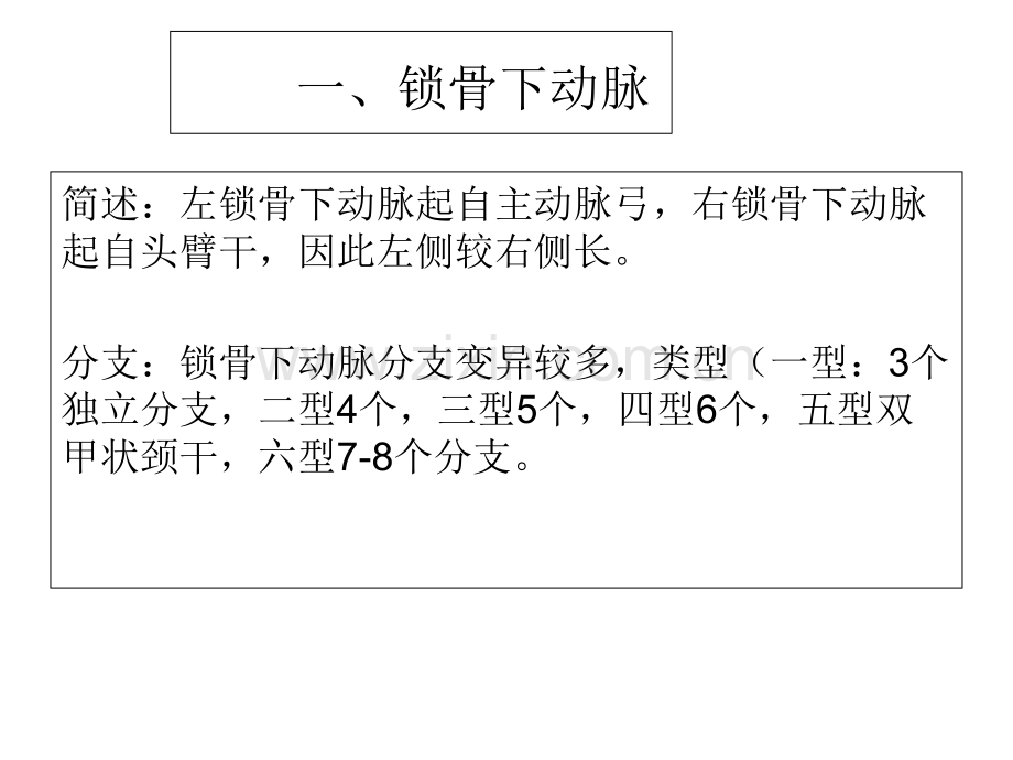 上肢血管解剖及局部解剖.ppt_第2页