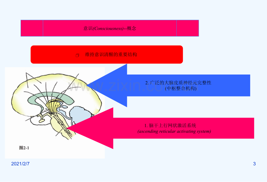 意识障碍分级.ppt_第3页