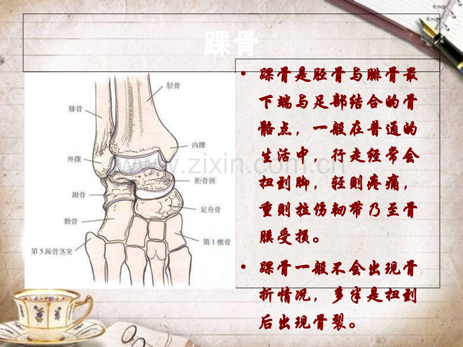 手术室内外踝骨折的护理查房.ppt_第3页