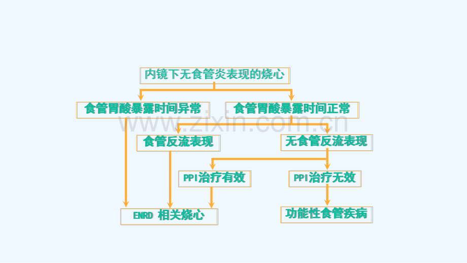 功能性食管疾病.pptx_第2页