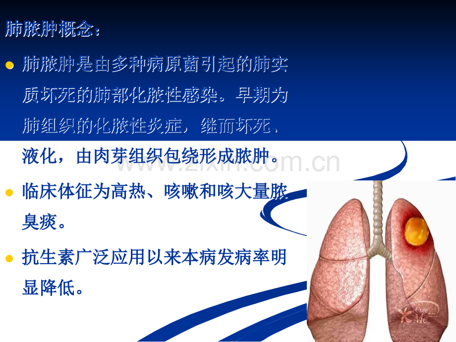 内科护理学肺脓肿.ppt_第3页