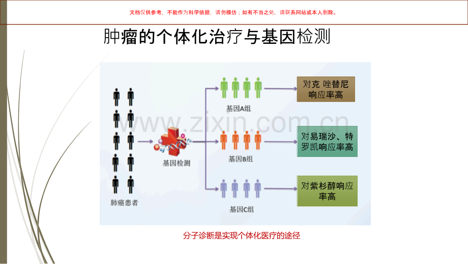 分子检测在肿瘤精准治疗中的应用课件.ppt_第3页