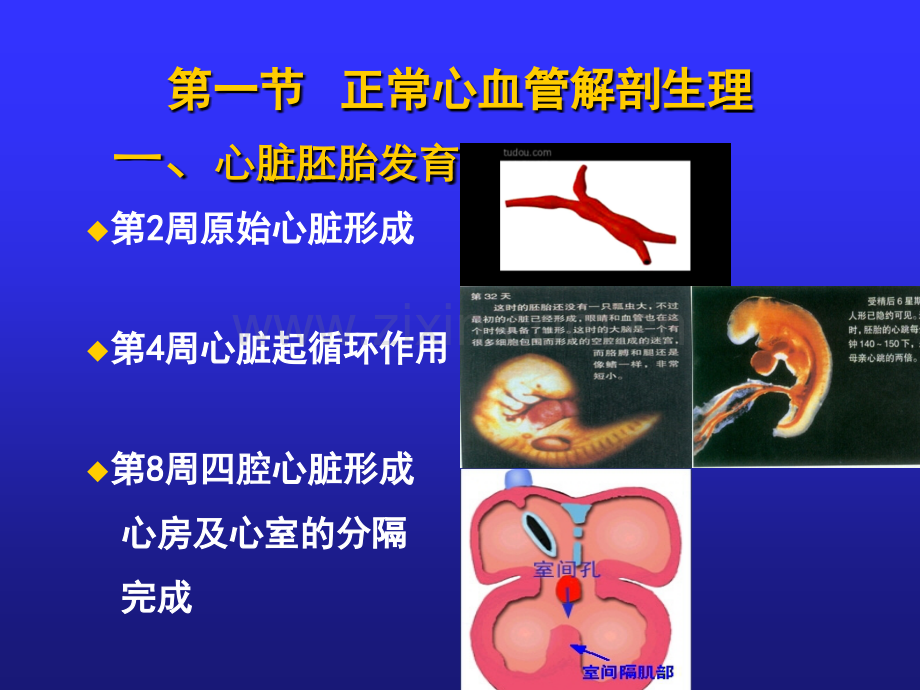 儿科学先天性脏病ppt课件.ppt_第3页