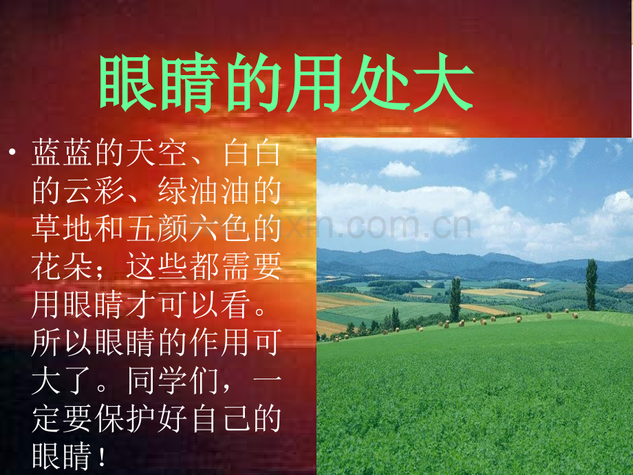 保护眼睛预防近视宣教课件.ppt_第3页