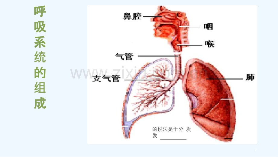 慢性阻塞性肺疾病-健康教育.ppt_第2页