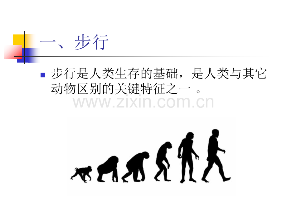 偏瘫步态分析和训练PPT培训课件.ppt_第2页