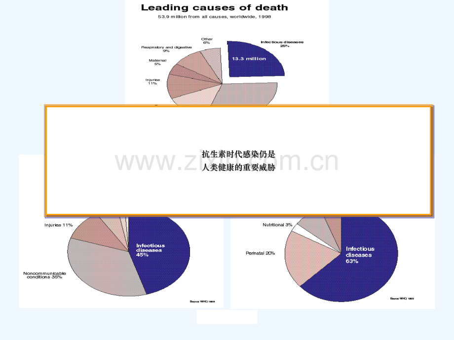 抗菌药物合理应用与评价.ppt_第3页