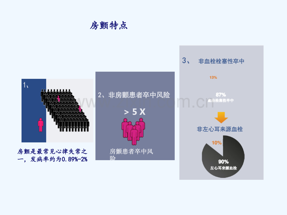 左心耳封堵术的治疗进展.ppt_第2页