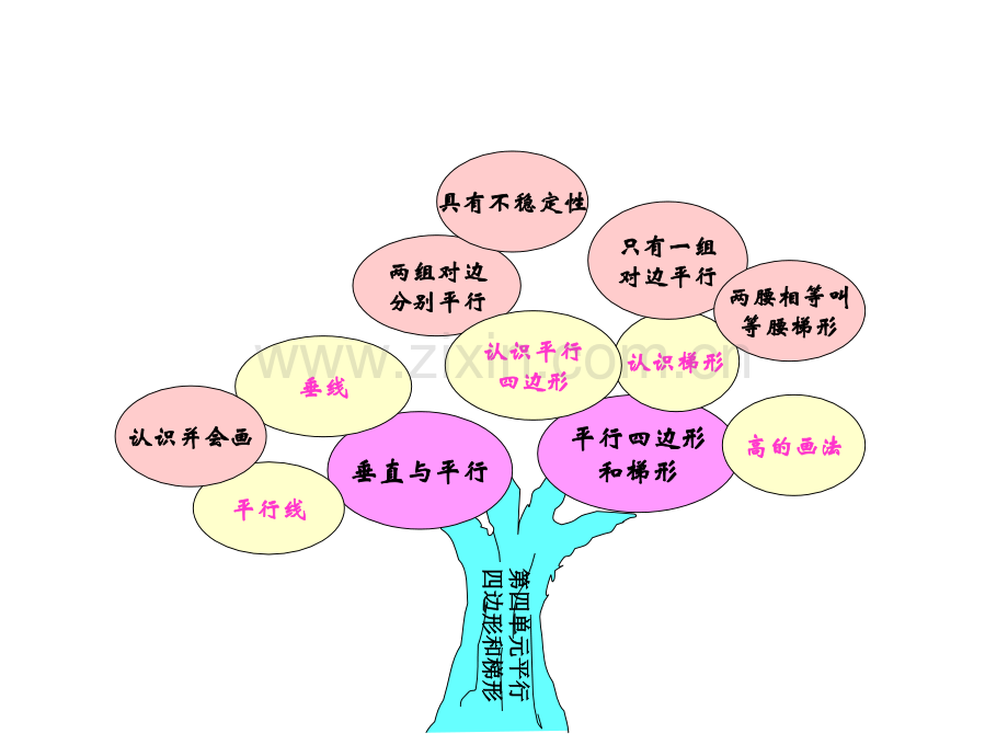 平行四边形和梯形整理与复习.pptx_第3页