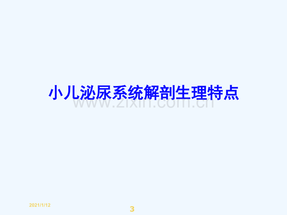 泌尿系统患儿的护理.ppt_第3页