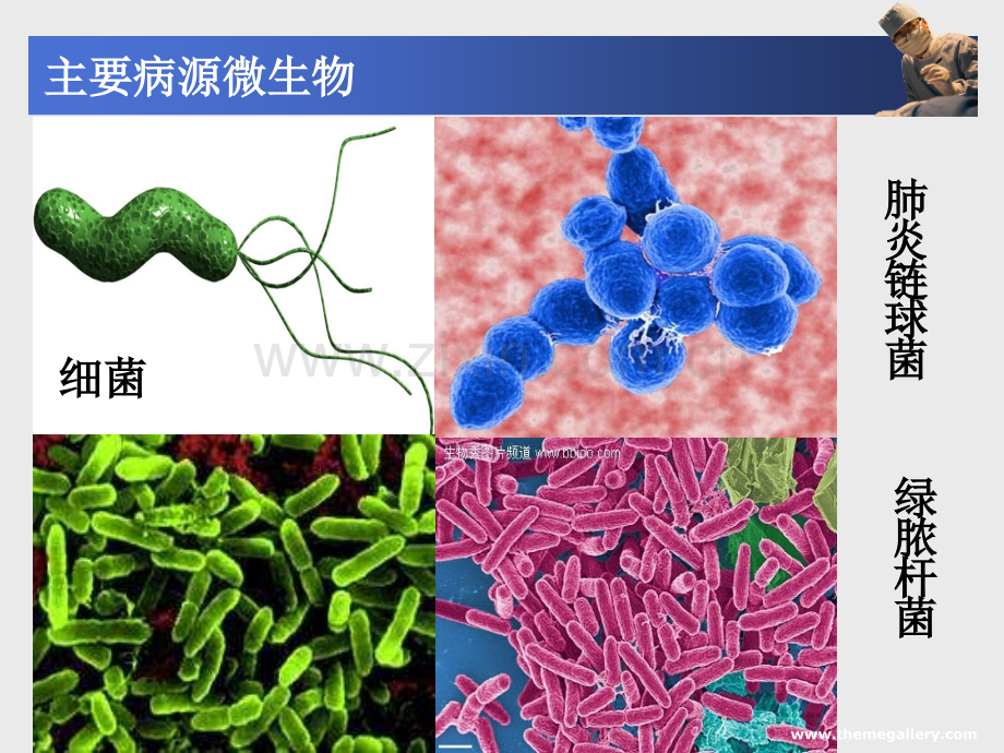 PPT医学课件药理学抗菌药讲义.ppt_第1页