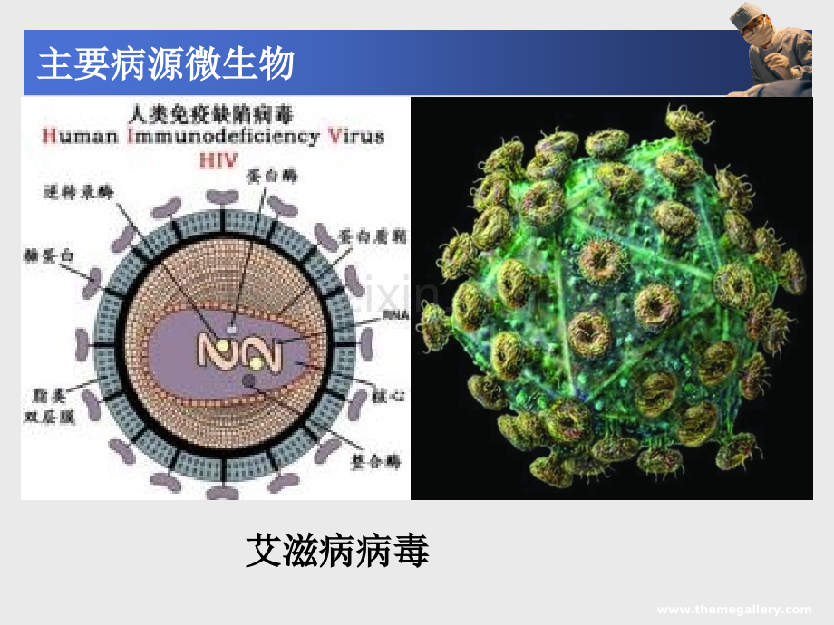 PPT医学课件药理学抗菌药讲义.ppt_第2页