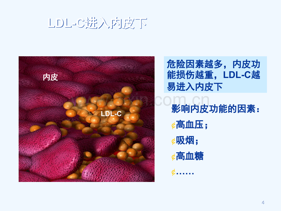 血脂异常诊断和治疗.ppt_第3页