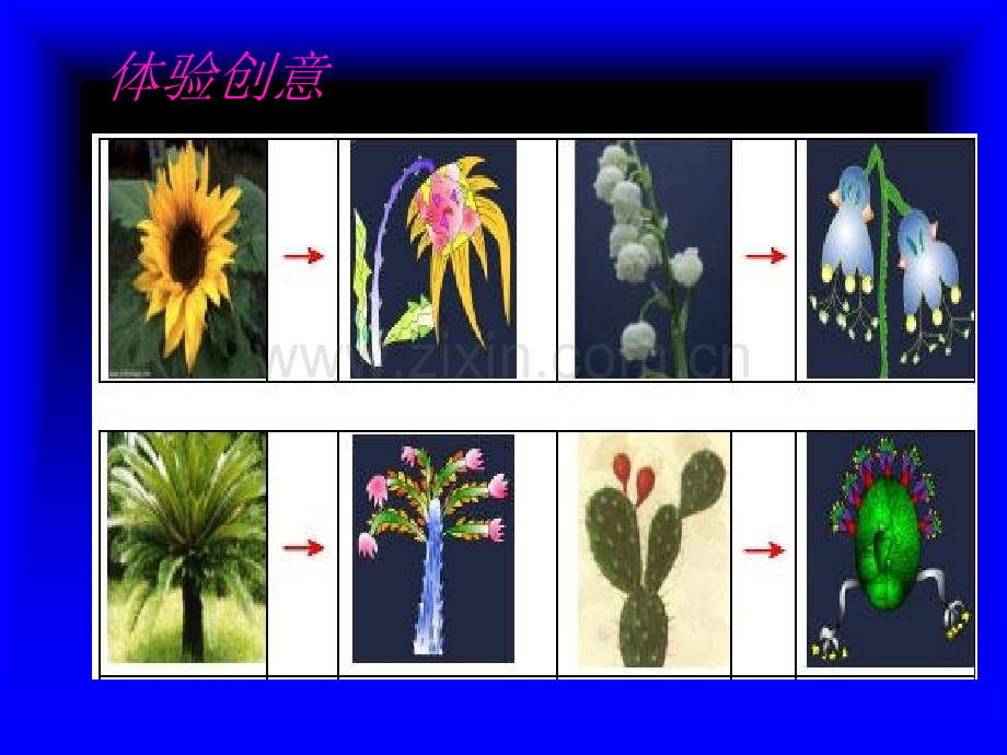 人教版小学美术一年级下册《太空里的植物》课件1.ppt_第3页