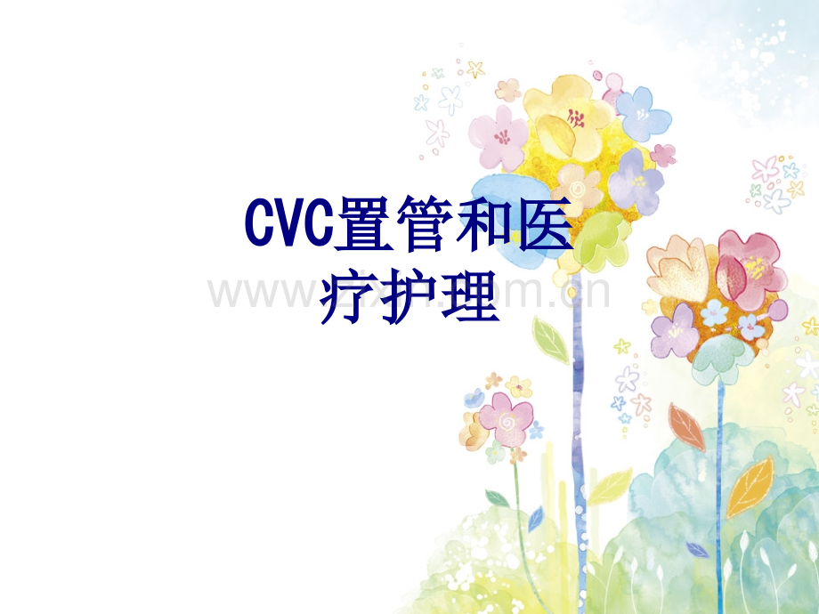 CVC置管和医疗护理讲义.ppt_第1页