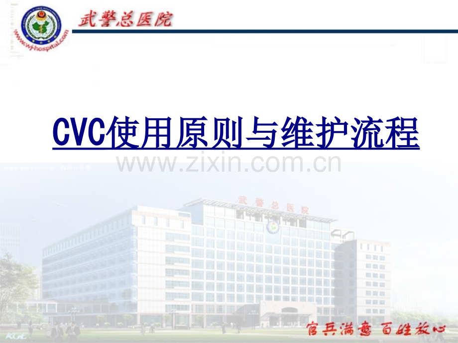 CVC使用原则与维护流程优质PPT课件.ppt_第1页