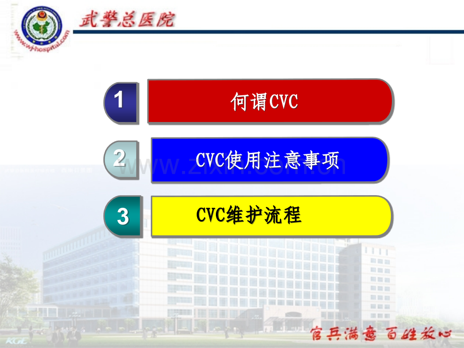 CVC使用原则与维护流程优质PPT课件.ppt_第2页