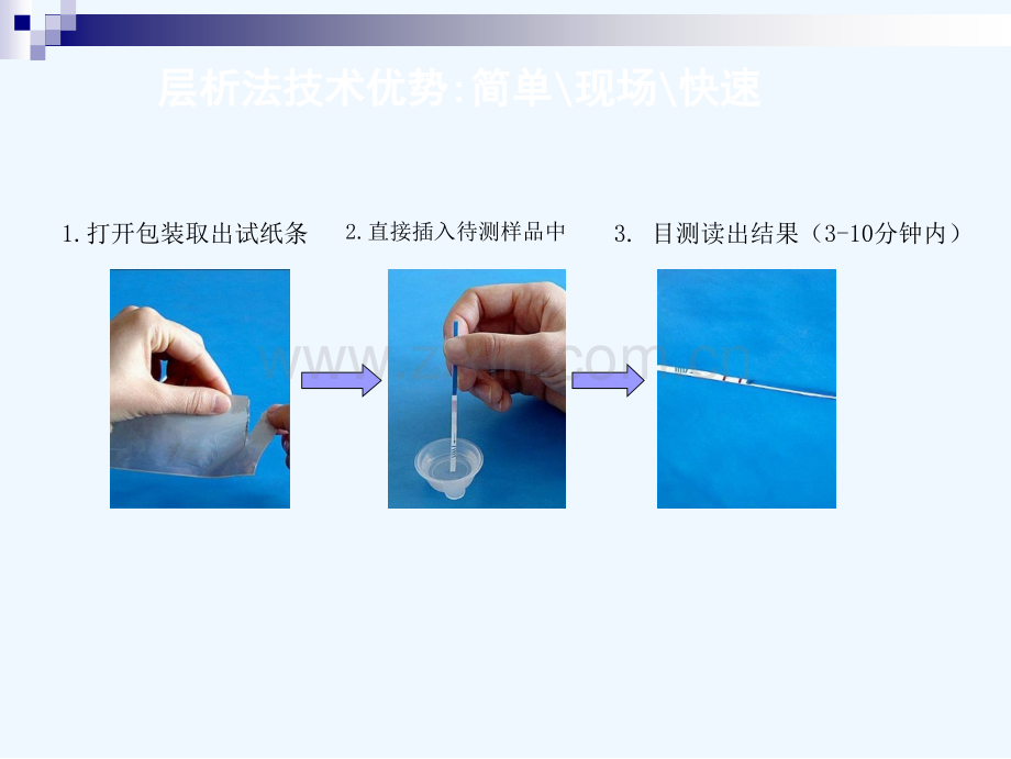 胶体金快速免疫诊断技术.ppt_第2页