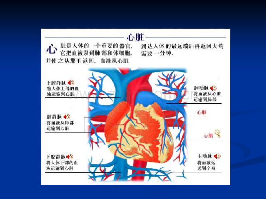 内科学心力衰竭第版PPT培训课件.ppt_第2页