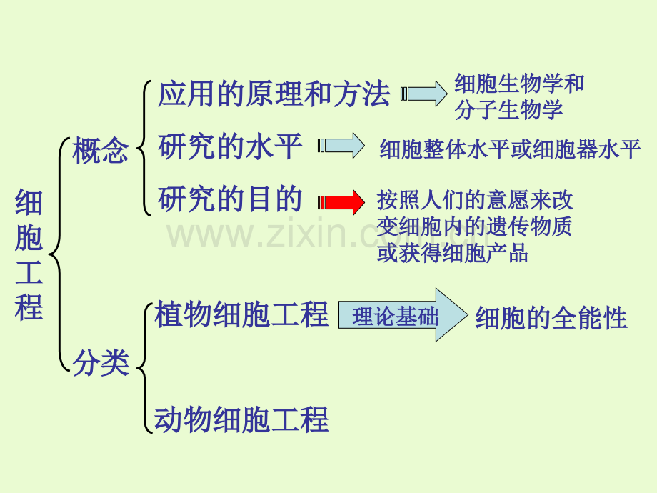 2.1细胞工程专题培训课件.ppt_第3页