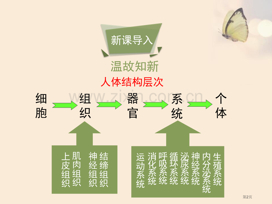 人体概述课件省公开课一等奖新名师优质课比赛一等奖课件.pptx_第2页