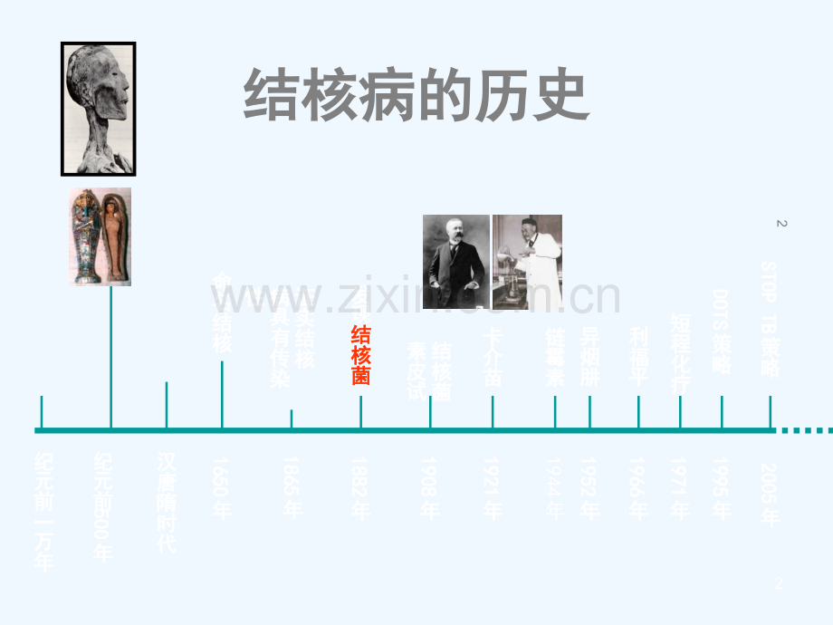 结核病防治基础知识.ppt_第2页