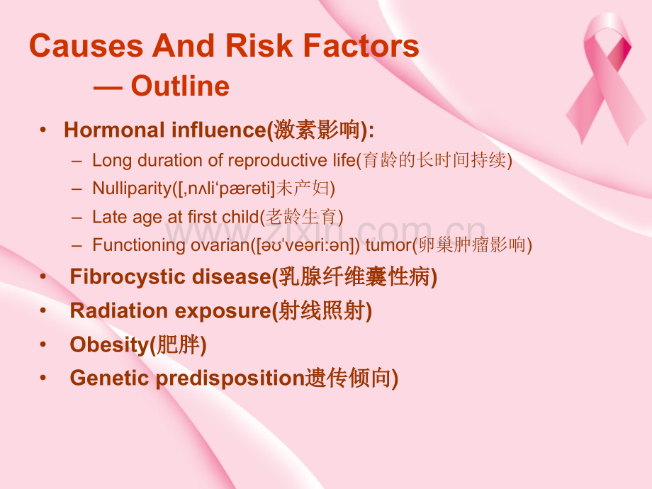 乳腺癌专业知识讲座课件.ppt_第3页